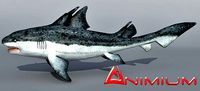 Hybodus zuodengensis 3d model