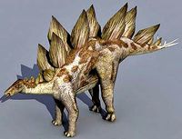 Stegosaurus 3d model