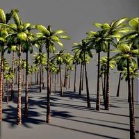 Palm tree 3d model