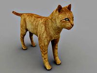 Cat 3d model