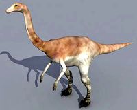 Gallimimus 3d model