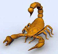 Scorpion