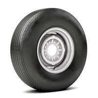 VINTAGE WHEEL AND TIRE 11 - Extended License