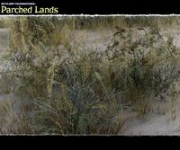Plant Foundations: Parched Lands - Extended License