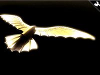 DaVinci's flying kite by Sedak
