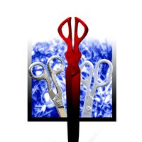 Nabi's scissor