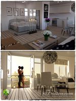 STZ Modern room