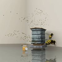 Honey Bee Set For Vue