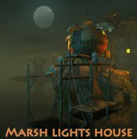 Marsh lights house