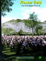 Flower field DAZ