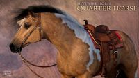 HiveWire Quarter Horse