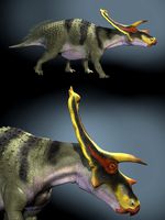 AnchiceratopsDR
