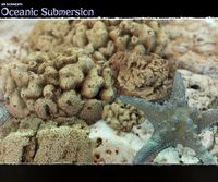 3D Scenery: Oceanic Submersion