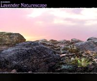 3D Scenery: Lavender Naturescape