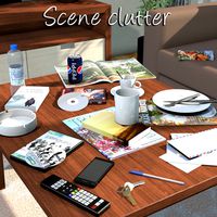 Everyday items, Scene clutter