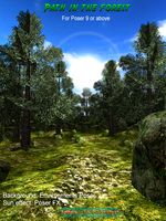 Path in the forest