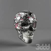 skull