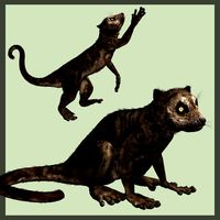 DarwiniusDR - Extended License