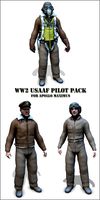 WW2 USAAF pilot pack - Extended License