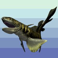 OrthacanthusDR - Extended License