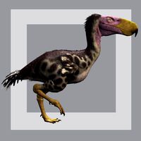 KelenkenDR - Extended License