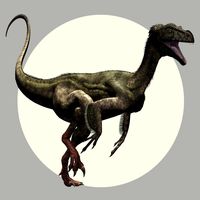 OrnitholestesDR - Extended License