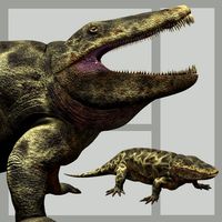 EryopsDR - Extended License