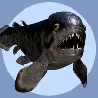 RhizodusDR - Extended License