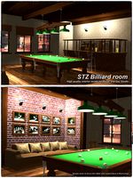STZ Billiard room