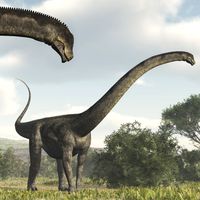 PuertasaurusDR - Extended License Gaming Extended Licenses 3D Models Dinoraul