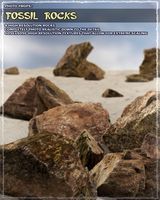 Photo Props: Fossil Rocks - Extended License