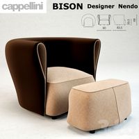Bison