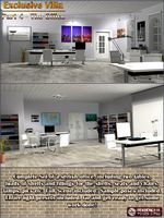 Exclusive Villa 4: The Office