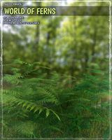 Photo Plants: World of Ferns