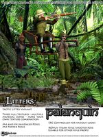 Litters: Palanquin