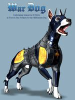 War Dogs for Mil Dog
