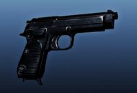 Berretta Lowrez Model with Normalmap 3D Model
