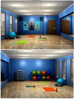 STZ Fitness room
