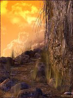 Stone Path