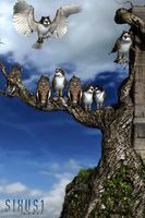 Impossible Creatures: The Meowl