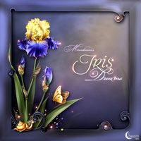 Moonbeam's Iris Dreams