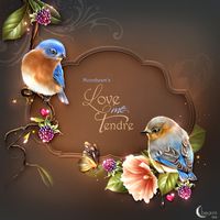 Moonbeam's Love me Tendre