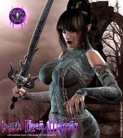 Dark Elven Warrior