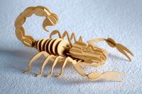 Scorpio woodcraft