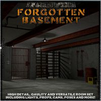 Forgotten Basement - Extended License