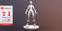 Cammy 3D Printing Miniature | Assembly