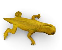 Lizzard full rigged 3D Model