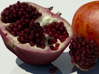 Pomegranate 3D Model