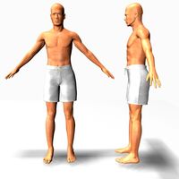 Male22011 3D Model