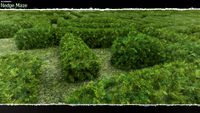 3D Scenery: Hedge Maze